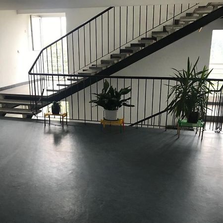 Arena Apartman ベオグラード エクステリア 写真